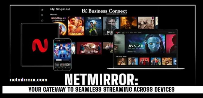 What netmirror Includes
